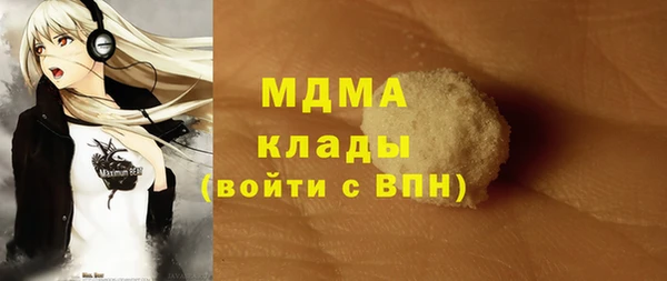 гашик Богданович