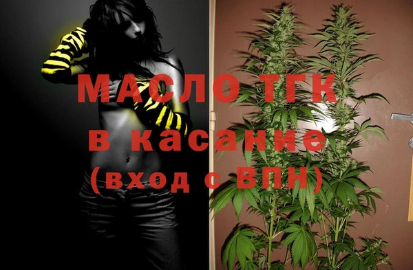 гашик Богданович