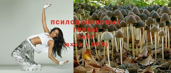 экстази Белокуриха