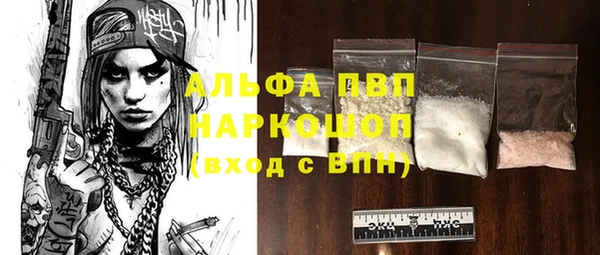 гашик Богданович