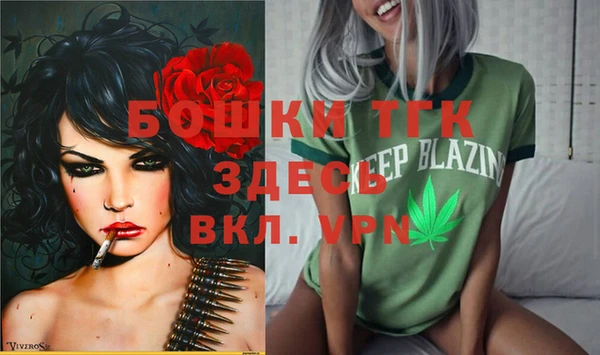 гашик Богданович