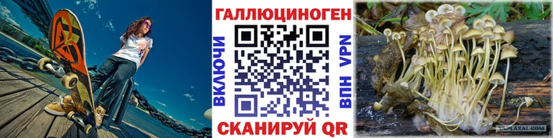 MEGA онион  Барыш  Псилоцибиновые грибы Psilocybe  купить  сайты 